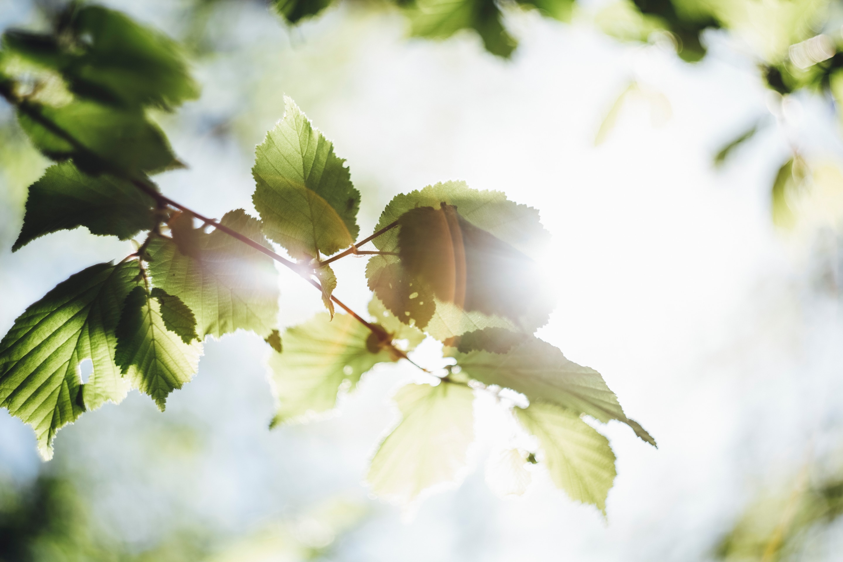 markus-spiske-6MB_jBwteIg-unsplash-min