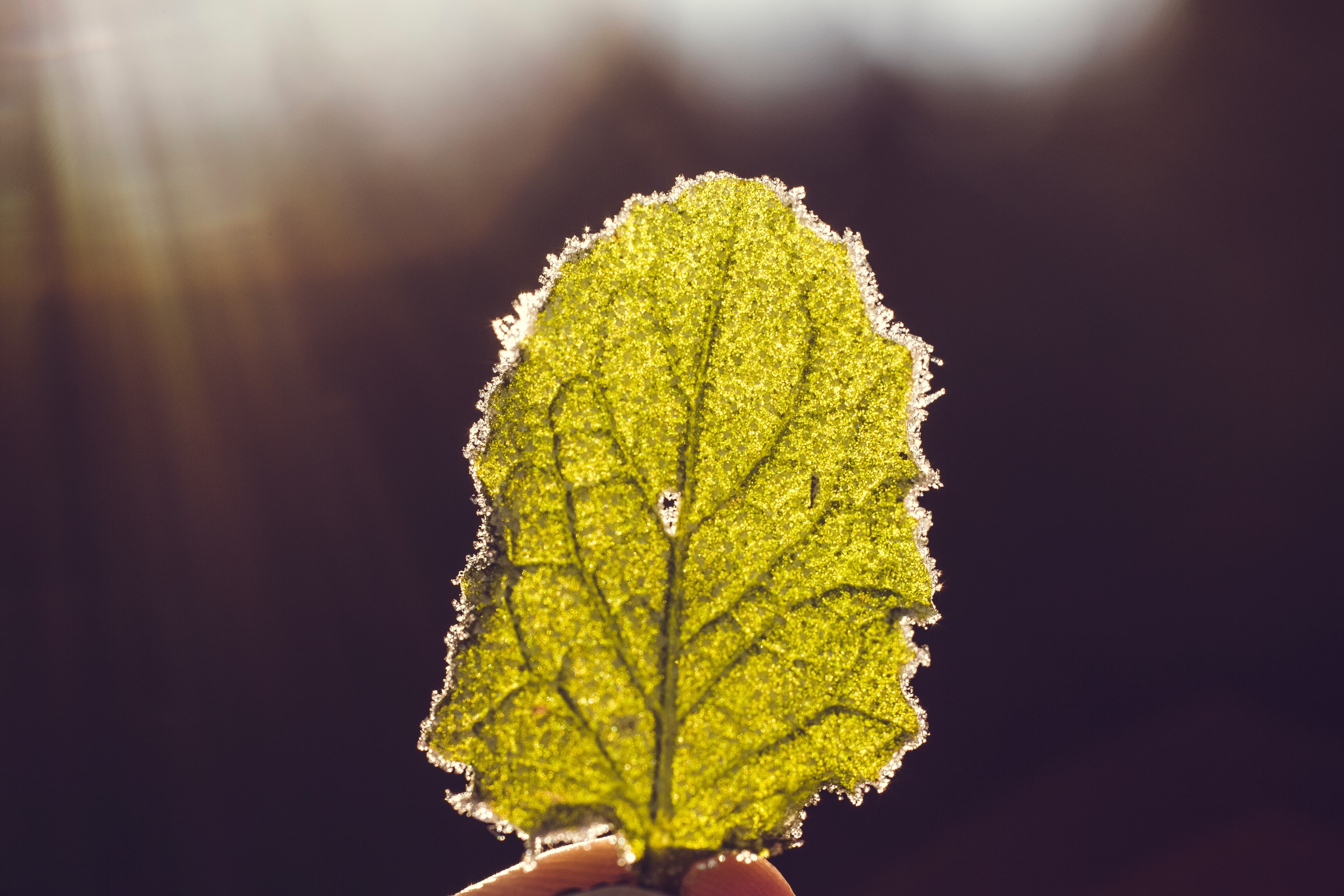 markus-spiske-l5yeiTC1nSQ-unsplash-min